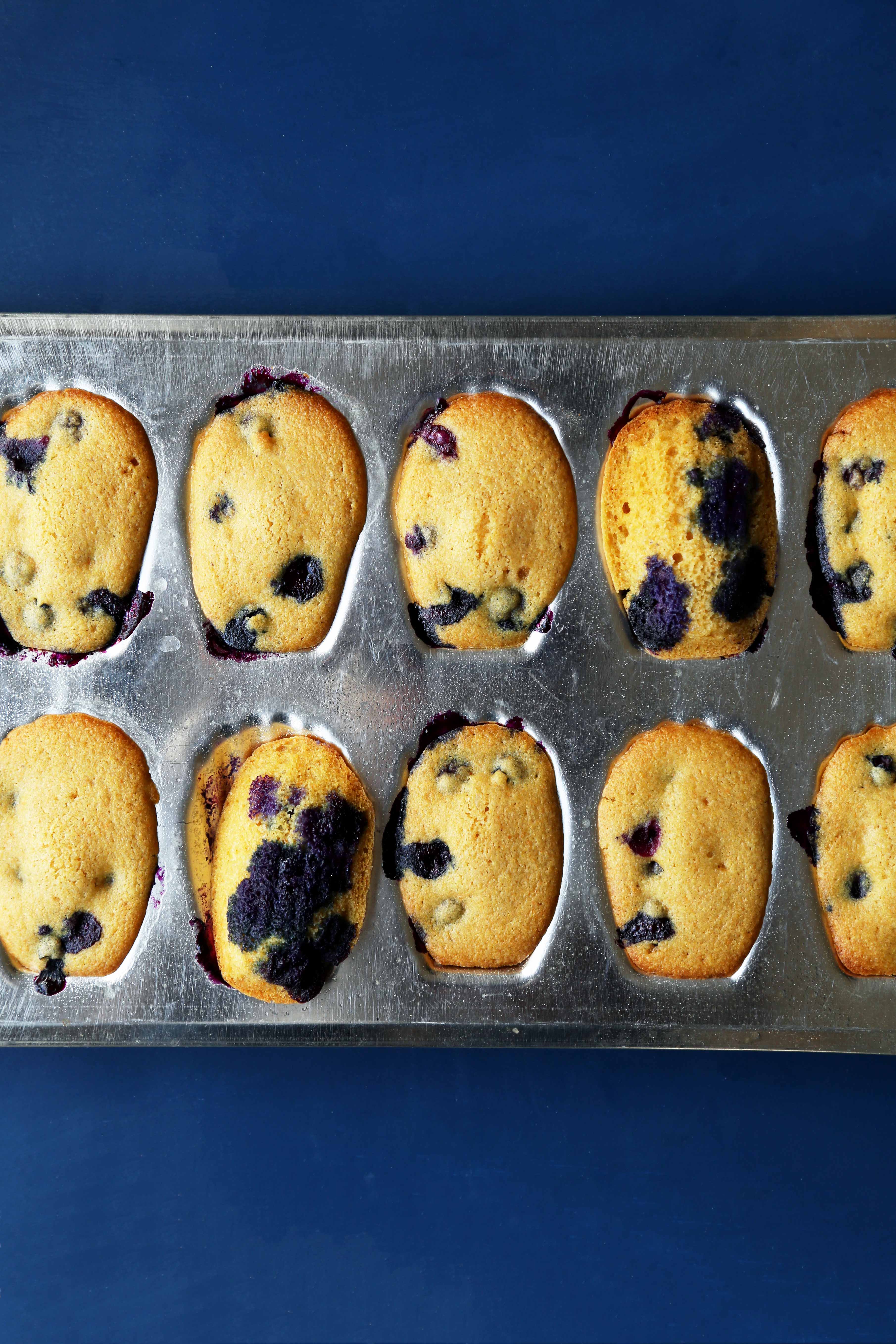 Blueberry Cornbread Madeleines